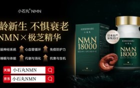脑力下滑成”不可逆”？小石丸NMN抗衰黑技术延缓大脑衰老，改善睡眠提升记忆力