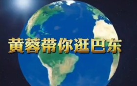 屈代雄的水果乐园：巴东共益的甜蜜盛宴